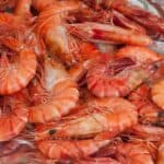 Shrimp Feed Raw Material Supplier in Vietnam