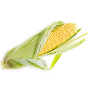 Corn DDGS Exporters in Vietnam