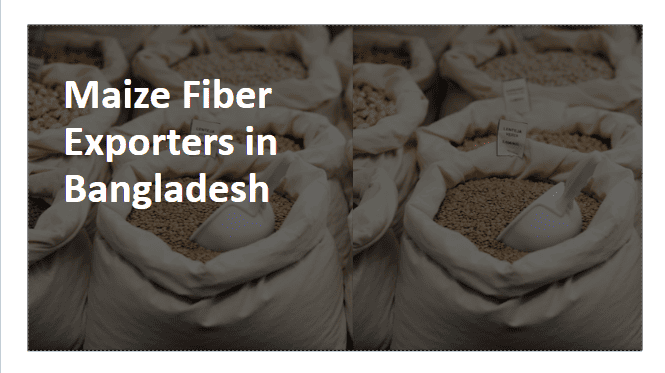Maize Fiber Exporters in Bangladesh