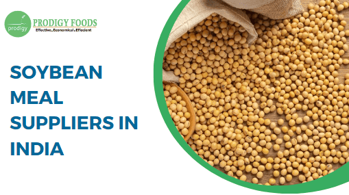 Soybean Meal Suppliers in India