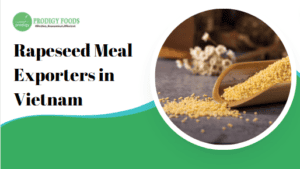 Rapeseed Meal Exporters in Vietnam