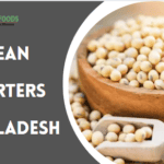 Soybean Meal Exporters in Bangladesh