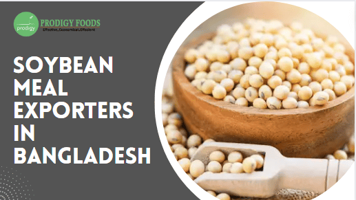Soybean Meal Exporters in Bangladesh