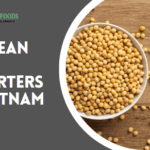 Soybean Meal Exporters in Vietnam