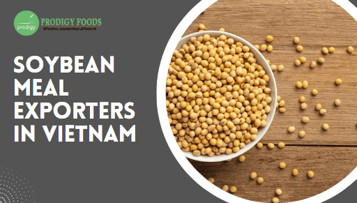 Soybean Meal Exporters in Vietnam