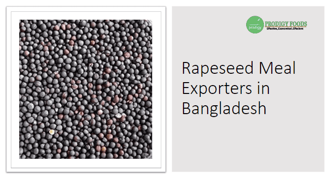 Rapeseed Meal Exporters in Bangladesh