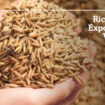 Rice DDGS Exporters in Vietnam