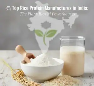 Rice Protein Manufacturers in India