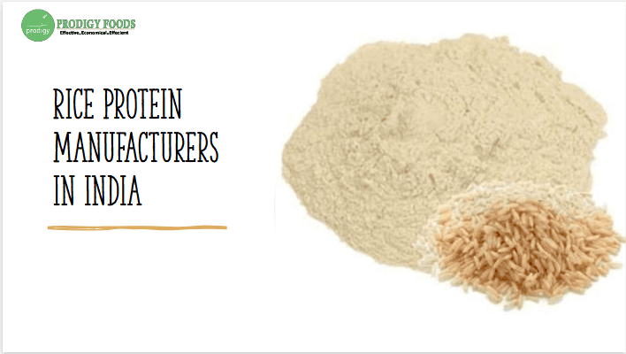 Rice Protein Manufacturers in India