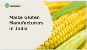 Maize Gluten Manufacturers in India