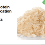 Rice Protein Specification Uses & Benefits