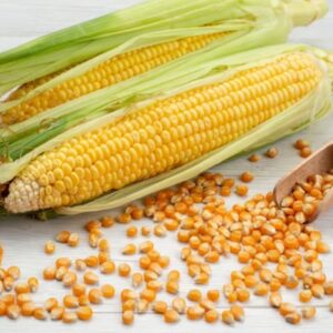 Maize Gluten Exporters in Vietnam