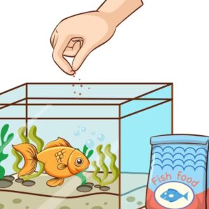 Fish Raw Material Supplier in Bangladesh