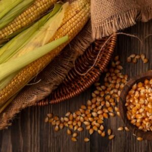Maize Gluten Exporters in Bangladesh