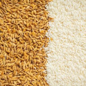Rice Gluten Exporters in Vietnam