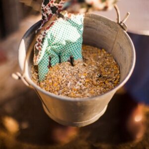 Roasted Guar Korma Exporters in Bangladesh