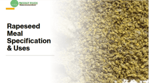 Rapeseed Meal Specification & Uses